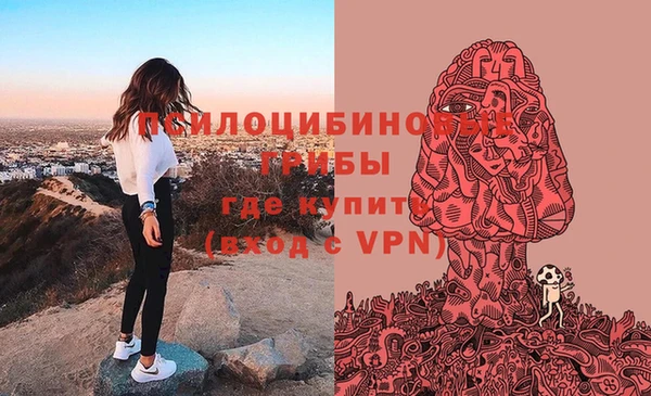 гидра Абинск