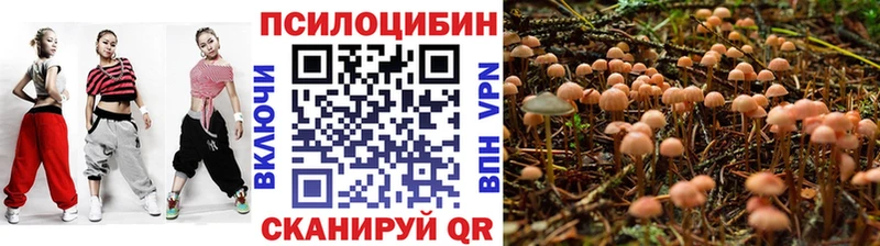 закладка  Поворино  Галлюциногенные грибы ЛСД 